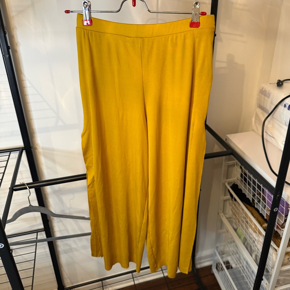 Zara Wide-Leg Pants